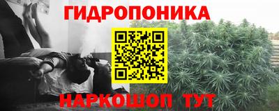 трава Бердск